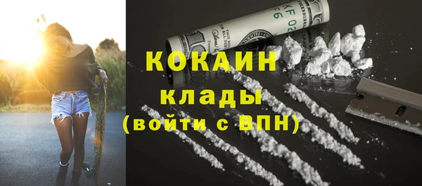 mdpv Вяземский