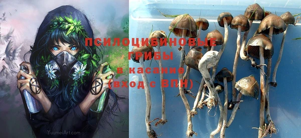 mdpv Вяземский