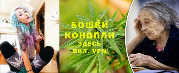mdpv Вяземский