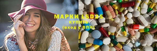 mdpv Вяземский